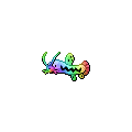 Rainbow Barboach